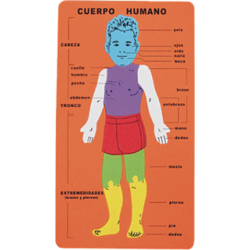 Puzzle cuerpo humano goma eva